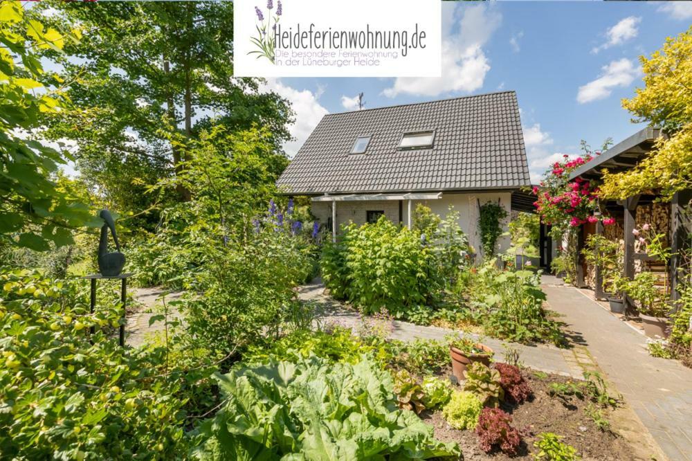 Heideferienwohnung ヴァルスローデ エクステリア 写真